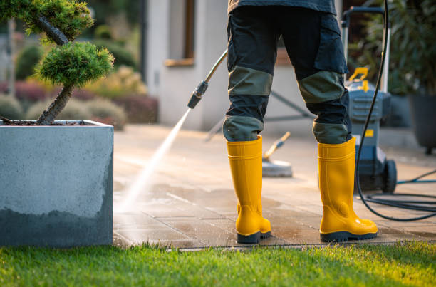 Best Exterior Home Cleaning  in Minden, LA
